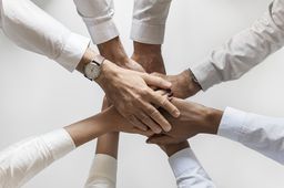 Odoo - Prueba 3 a tres columnas